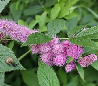 Жизнь прекрасна!