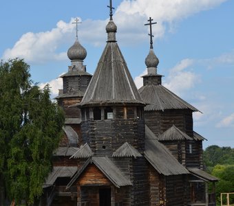 Застывшая древность