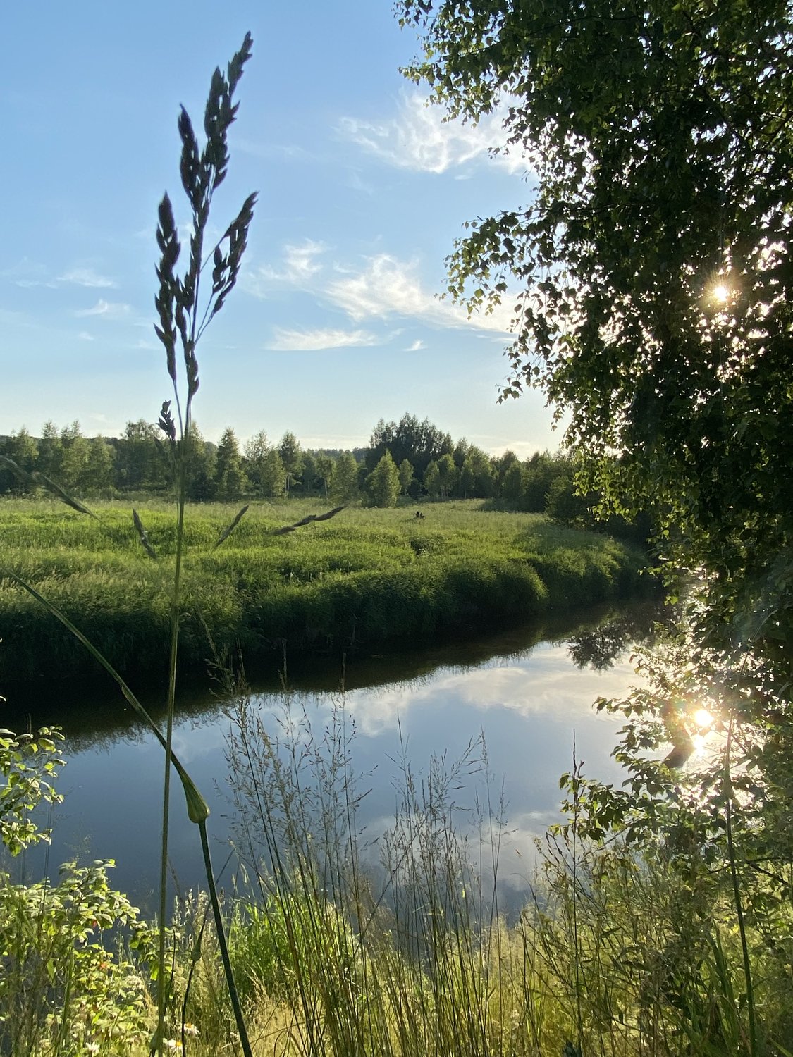 Добрая река Истра