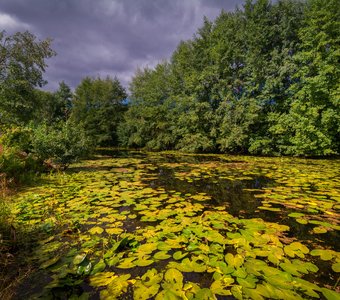 Река Медведица