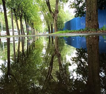 Отражение любви