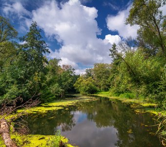 Река Медведица