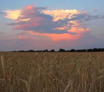 Зарница