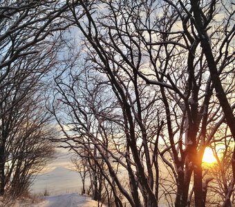 Кольцевая дорога горы Бештау