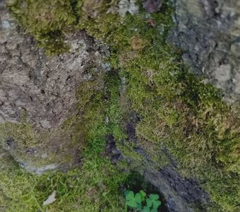 Любимый уголок