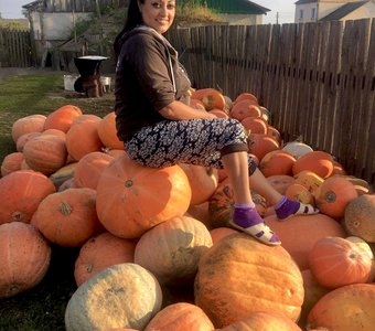 Кода тыква 🎃 огромная и не подъемная …