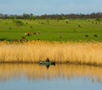 Тихое место...
