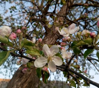 И вновь продолжается жизнь