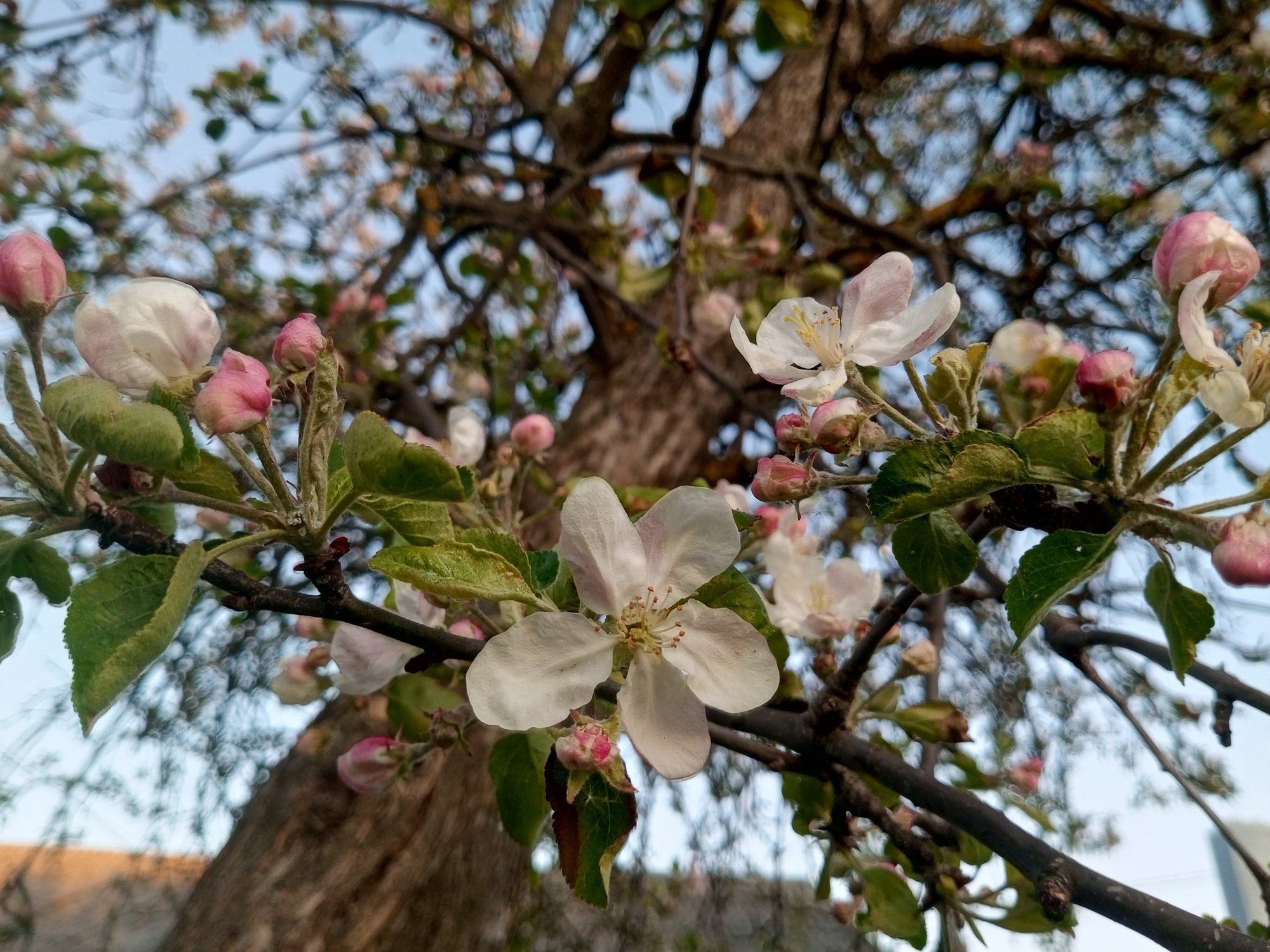 И вновь продолжается жизнь