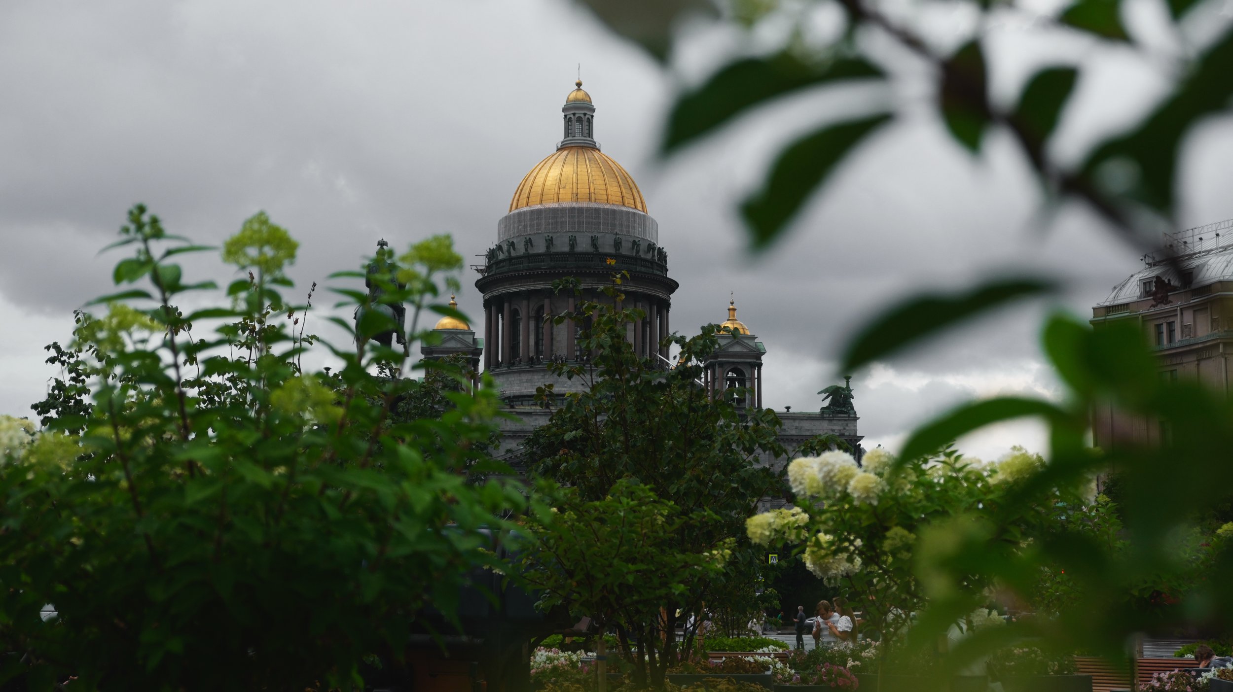 Сквозь листву