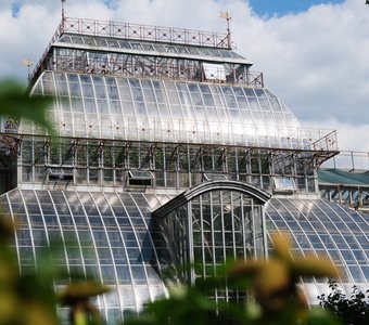 Стеклянные своды оранжереи