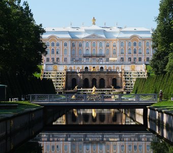 В свободном Петергофе