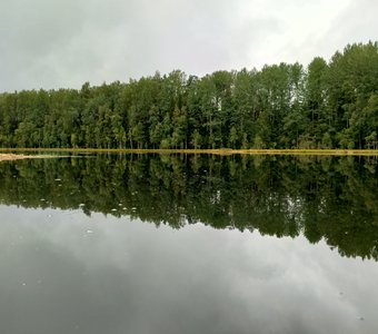Лес в озере