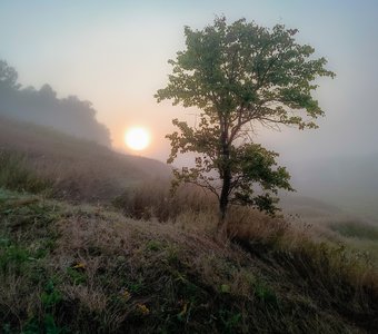 Лето катится под гору