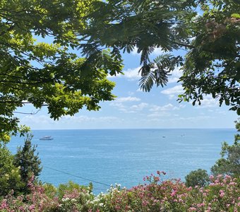 Окно в солнечный день