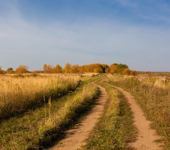 Дорога в поле