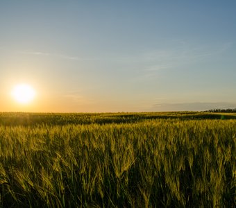 Закат в Мордовском округе