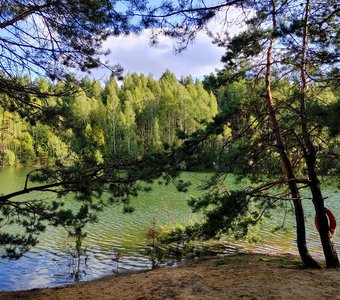 Деревья в лучах солнца на берегу водоёма