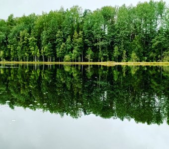 Озеро в лесу