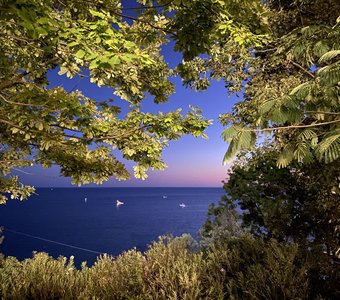 Море в зелёной раме