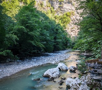 Самшитовая роща