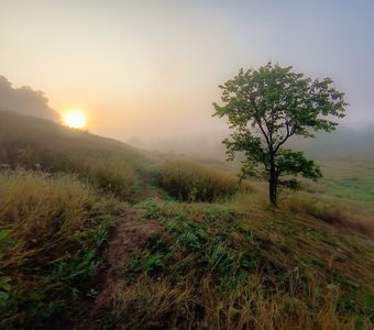 Лето катится под гору