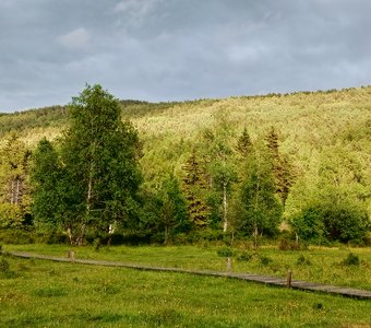 Все оттенки зеленого