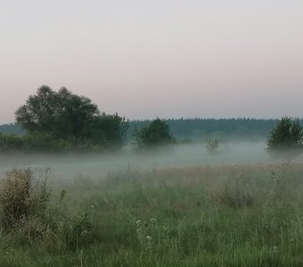 Восход в поле