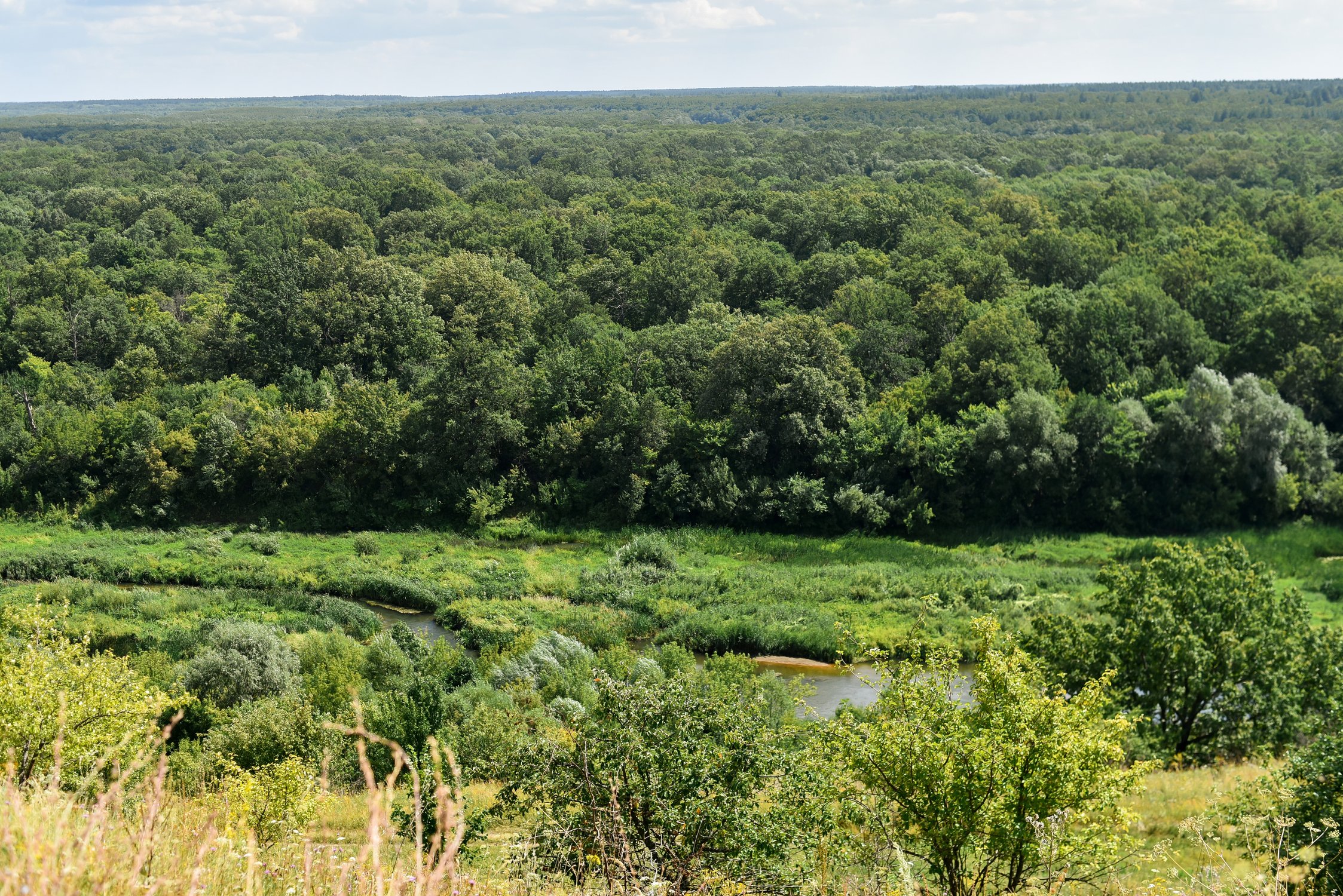 Природы чудное виденье, Хопёр...наш батюшка...река