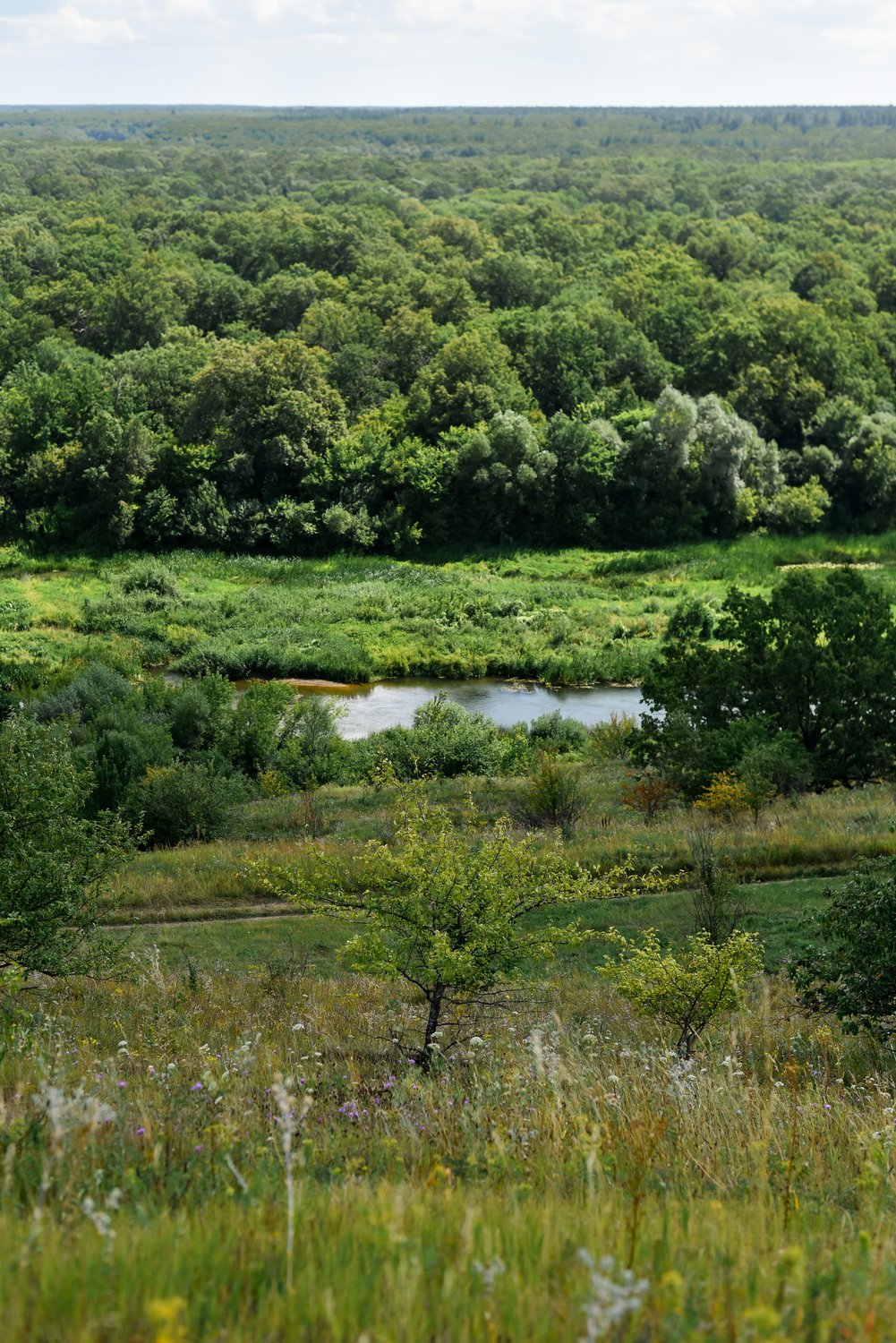 Поют в кустах...щебечут птицы, кукушка дарит нам года. А вдоль Хопра стоят станицы... живи... живи...живи... река!!!