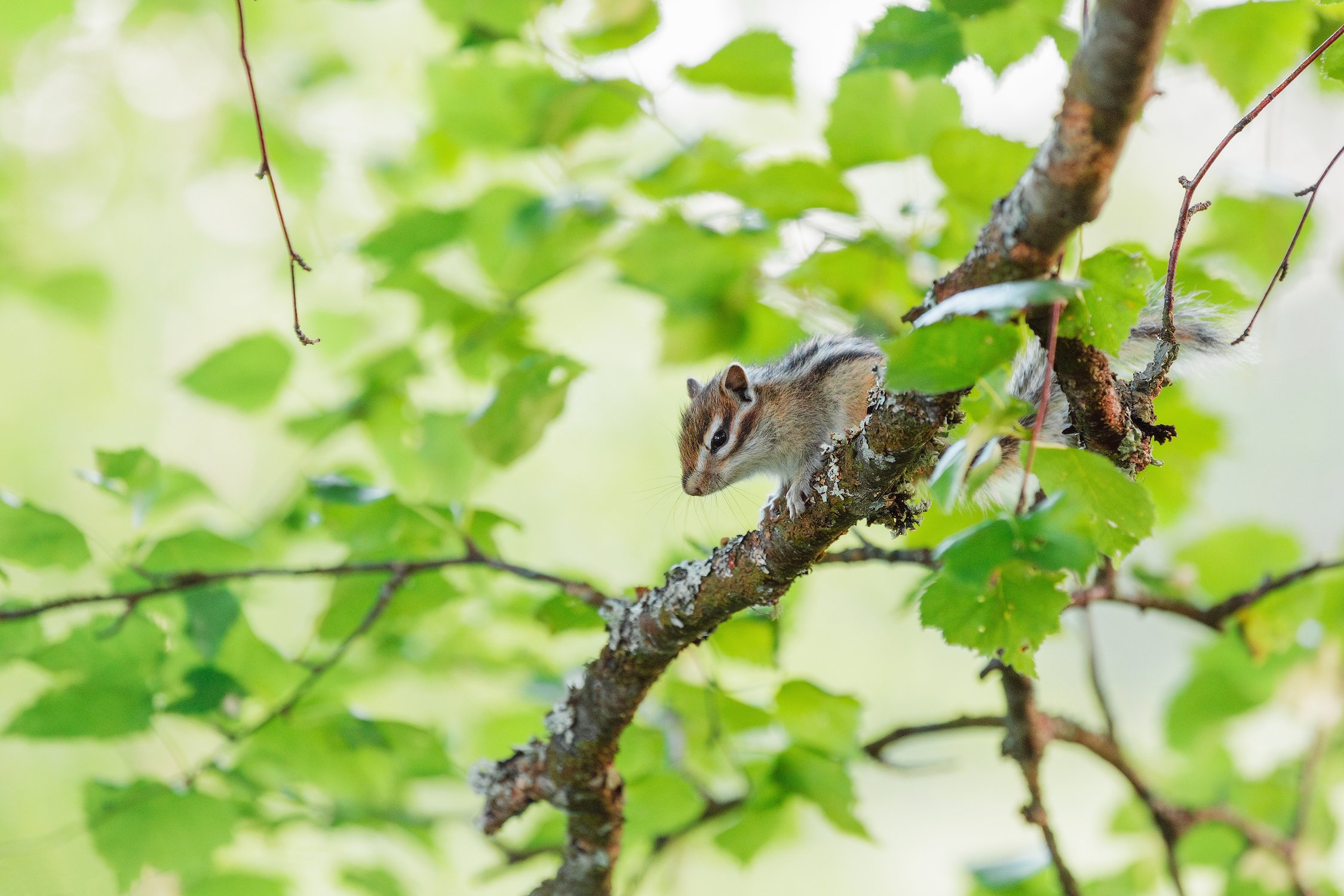 Последний житель деревни Краснояр