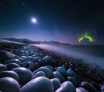 Яйца Дракона