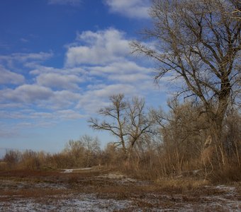 Зимняя прогулка
