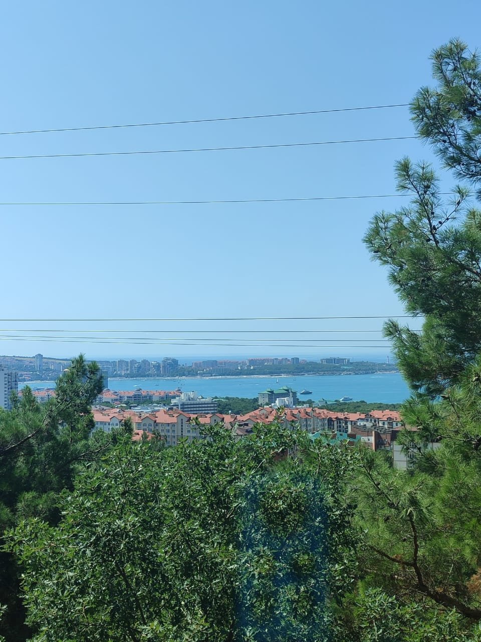 Сафари-парк — сердце Геленджика