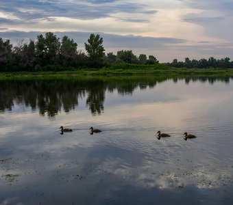 Тихий вечер