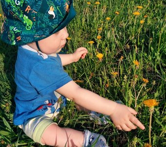 Павел, цветочная душа