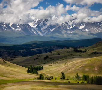 Предгорья Алтая