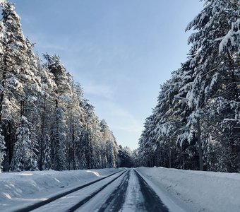 Курс на выходной