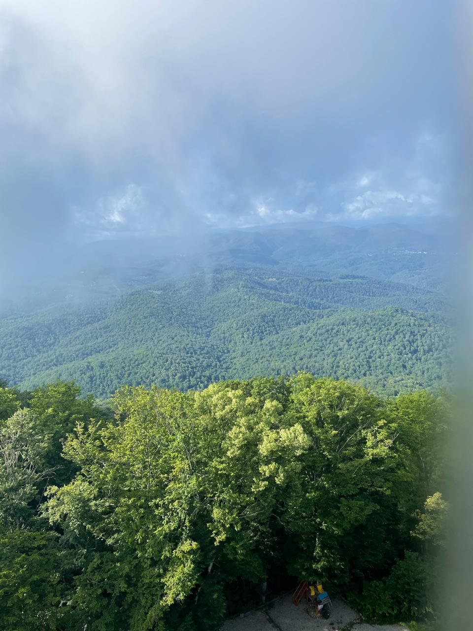 Кавказский заповедник