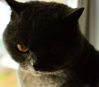 Взгляд объясняет все....)