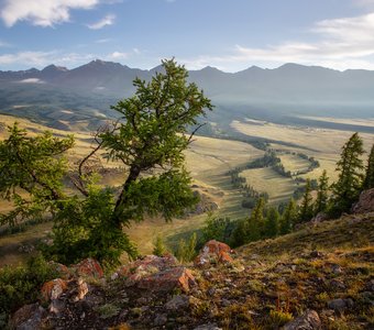 Где-то на Алтае