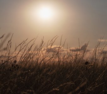 Степной закат