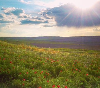 В краю лазоревом...