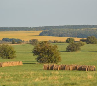 Ямская степь