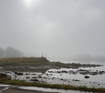 Туманное утро на Соловках