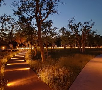 Светлый путь