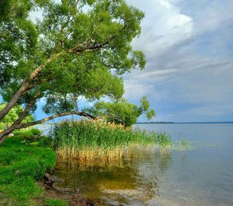 Лето на природе