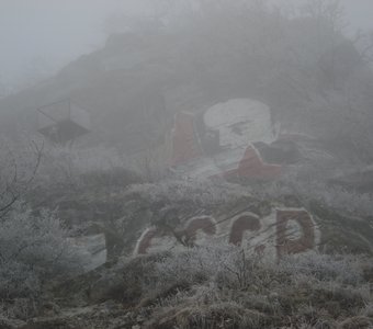 туманное прошлое