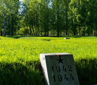 Братская могила