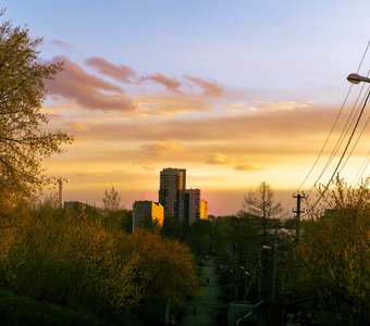 Город по среди леса